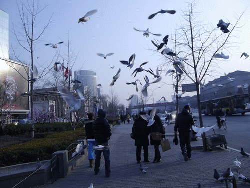 可以看到菜单中显示在超高速及高速连拍拍摄时无法实时取景,不过笔者