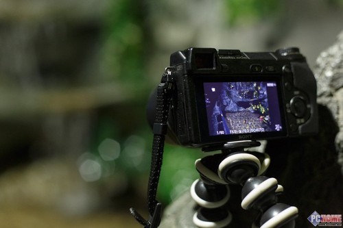 nex 5t 5tl 区别_nex 5t_nex 5t 对焦速度